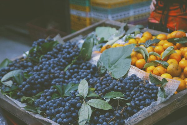 Créez des étiquettes d'huile d'olive qui se démarquent